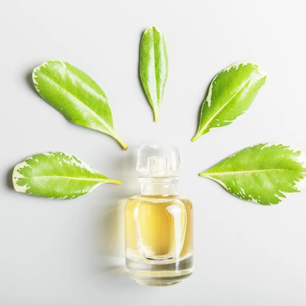 Cheap fragrance oils deals