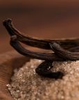 Bourbon Vanilla Fragrance Oil