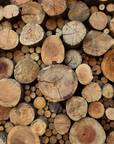 Teakwood Fragrance Oil