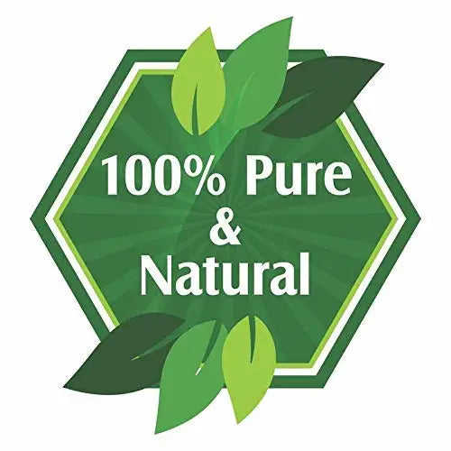 Activated 100% Coconut Charcoal Powder - PurensoSelect