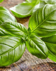Buy Online Basil Fragrance Oil in India - Purenso Select