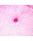 Buy Online Bath Bomb Color - Pink in India - Purenso Select