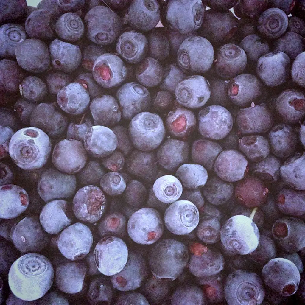 Buy Online Blueberry Flavor Oil in India - Purenso Select