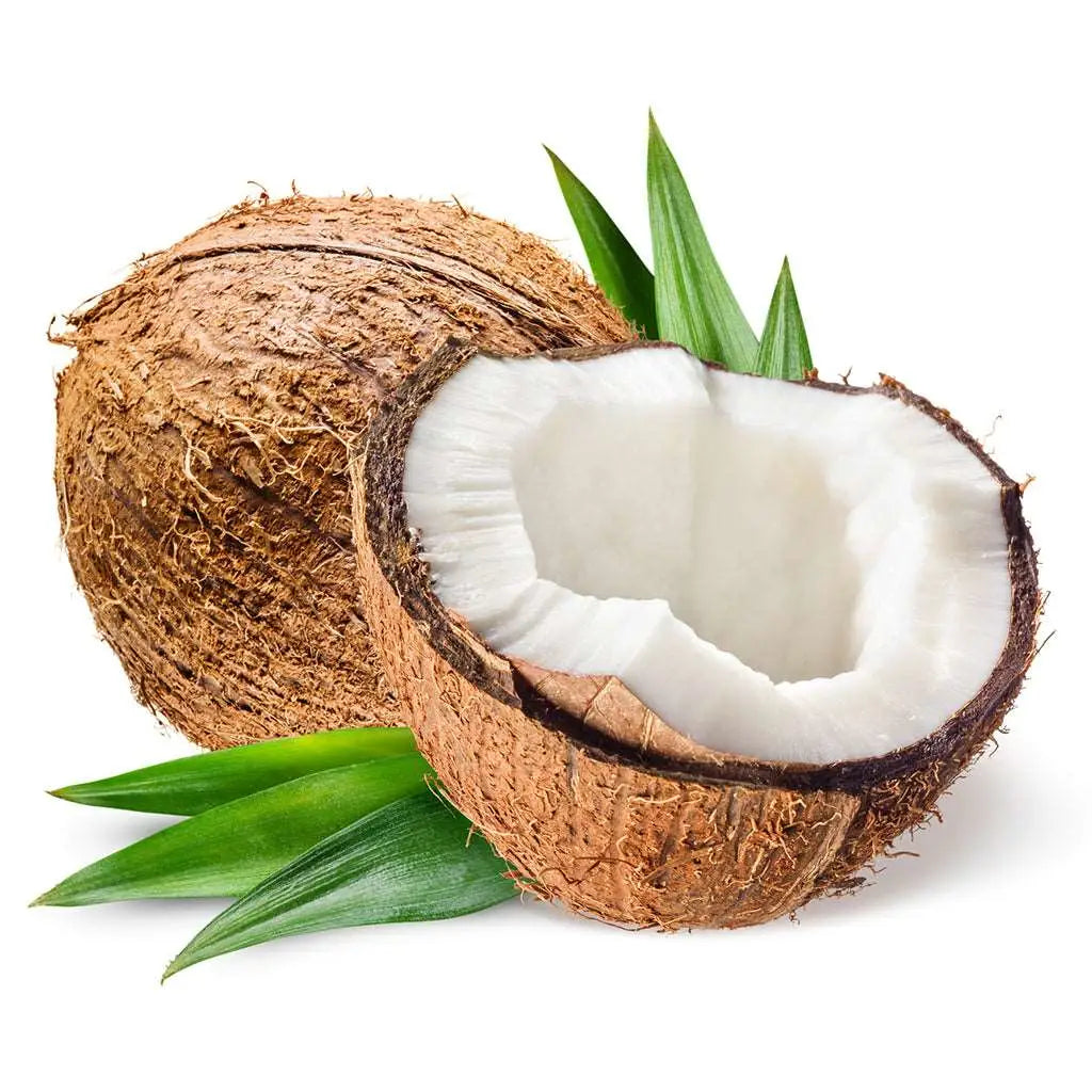 Coconut Essential Oil for Diffuser, Therapeutic Grade Coconut Scented Oil,  Aromatherapy Essential Oil Coconut Fragrance 0.33oz-10 ml : :  Health & Personal Care