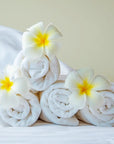 Buy Online Fresh Laundry Fragrance Oil (Detergent Type) in India - Purenso Select