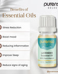 Buy Online Lavender Essential Oil in India - Purenso Select