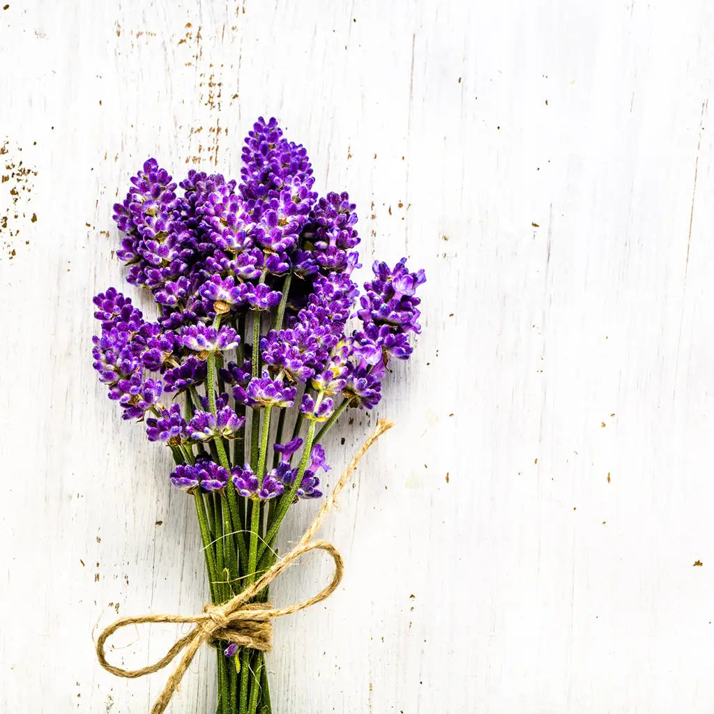 Buy Online Lavender Fragrance Oil in India - Purenso Select
