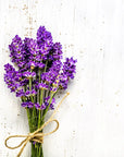 Lavender Fragrance Oil - PurensoSelect