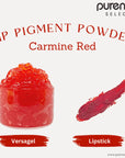 Buy Online Lip Pigment Powder - Carmine Red in India - Purenso Select