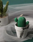 Buy Online Mini Cactus Standy Silicone Mould (PUR1015-72) in India - Purenso Select