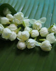 Buy Online Mogra (Arabian Jasmine) Fragrance Oil in India - Purenso Select