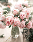 Buy Online Peony Fragrance Oil in India - Purenso Select