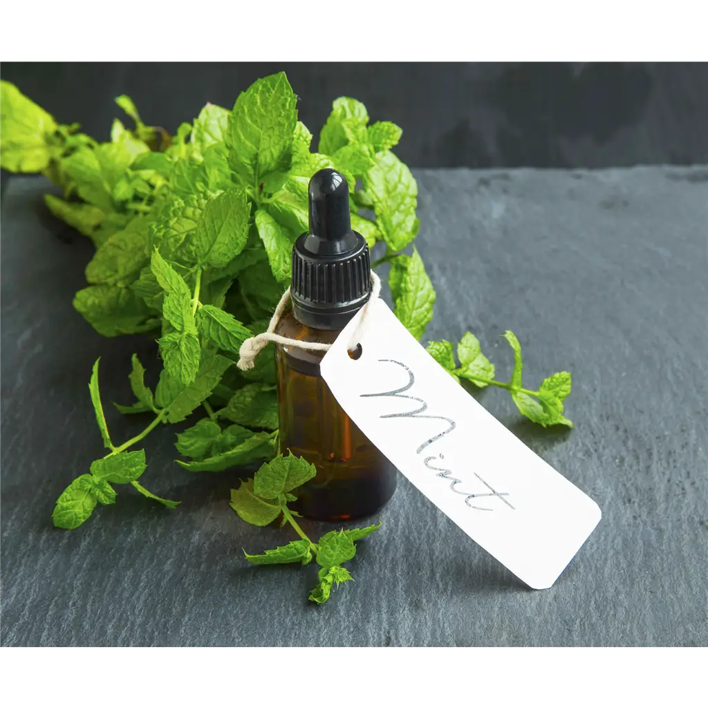 Buy Online Peppermint Fragrance Oil in India - Purenso Select