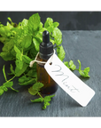 Peppermint Fragrance Oil - PurensoSelect