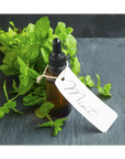 Buy Online Peppermint Fragrance Oil in India - Purenso Select