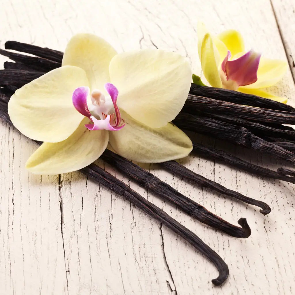 Buy Online Vanilla Fragrance Oil in India - Purenso Select