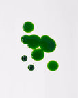 Water Soluble Liquid Colors - Aqua Green - Colorants