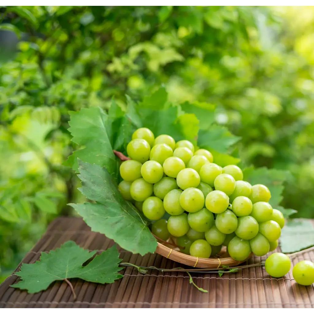 Buy Online Wild Grape Flavor Oil in India - Purenso Select