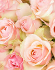 Buy Online Wild Rose Flavor Oil in India - Purenso Select