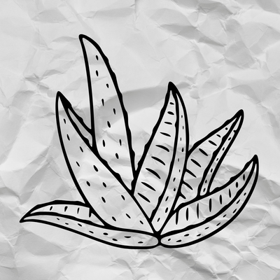 Buy Online Aloe Vera Whole Leaf Powder in India - Purenso Select