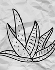 Buy Online Aloe Vera Whole Leaf Powder in India - Purenso Select