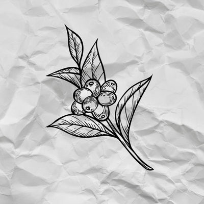 Ashwagandha Powder