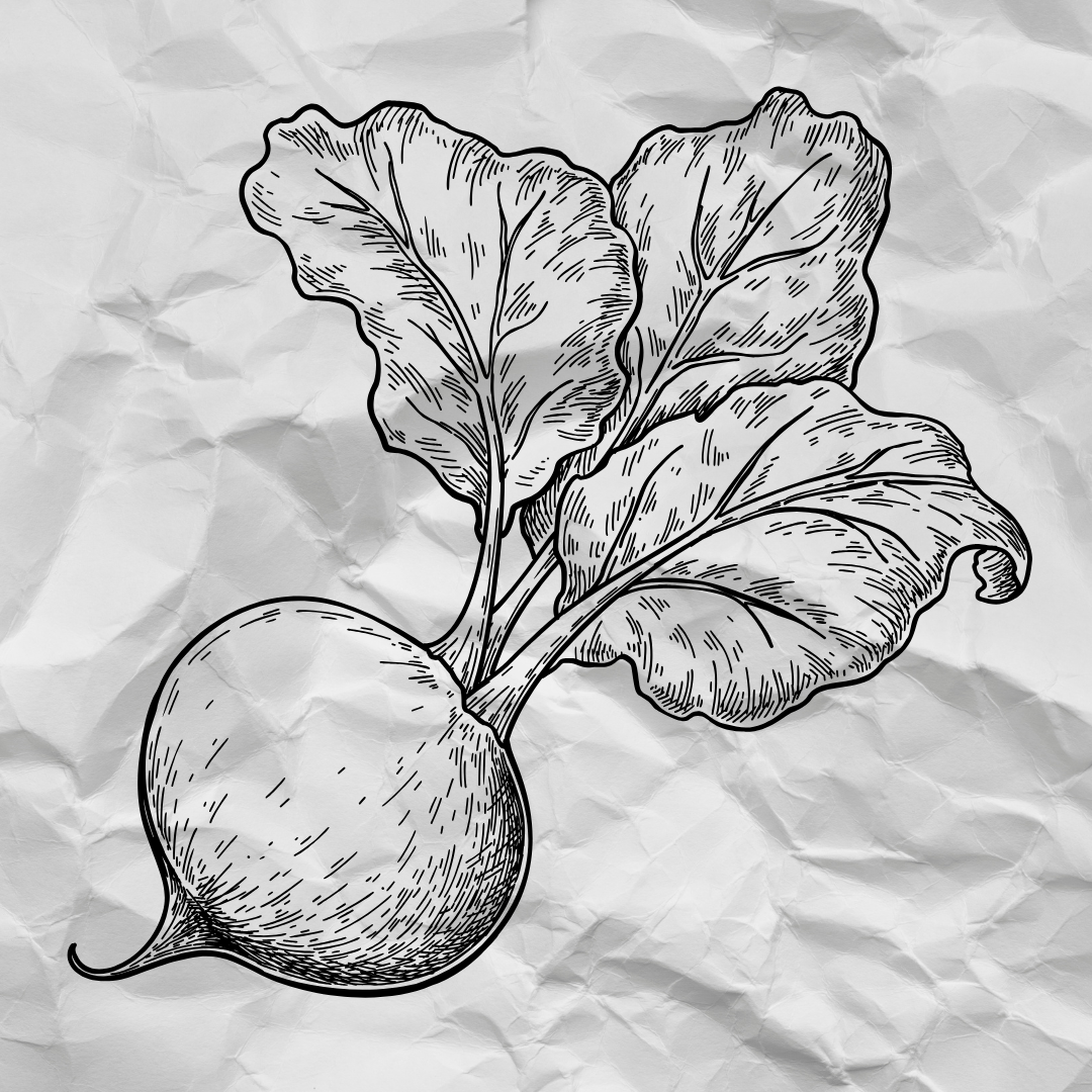 Buy Online Beetroot Powder in India - Purenso Select
