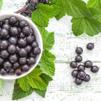 Blackcurrant Fragrance Oil