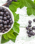 Blackcurrant Fragrance Oil