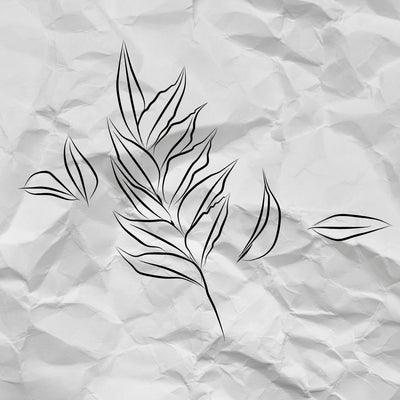 Curry Leaves Powder