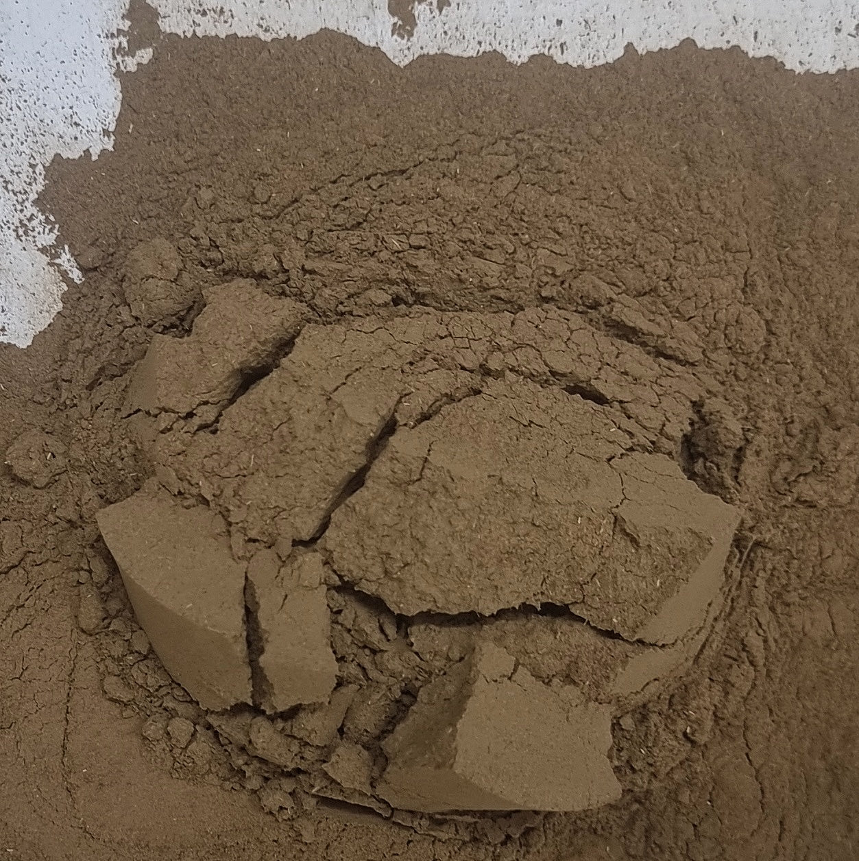 Nagarmotha Powder