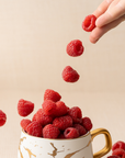 Red Raspberry Fragrance Oil