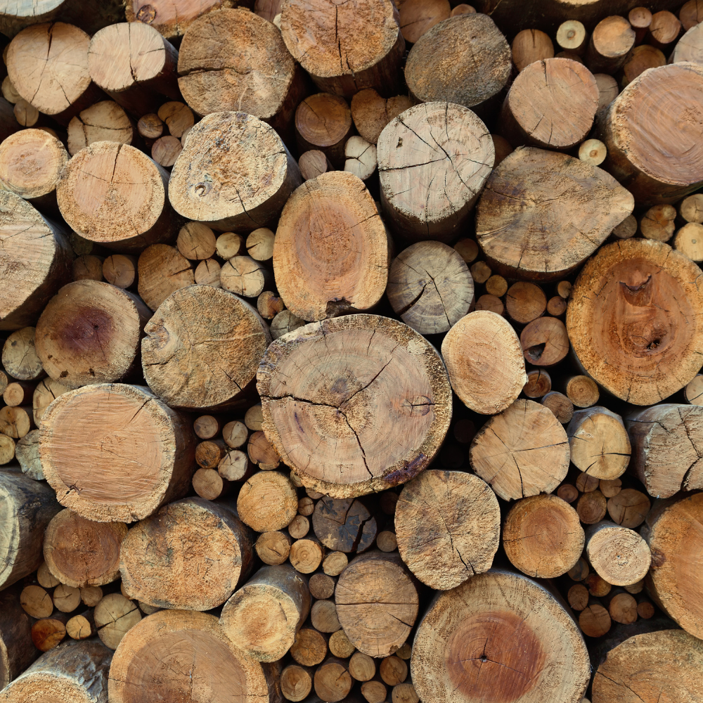 Teakwood Fragrance Oil