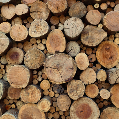 Teakwood Fragrance Oil