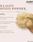 Collagen Protein Powder - Active ingredients