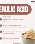 Ferulic Acid Powder - Active ingredients