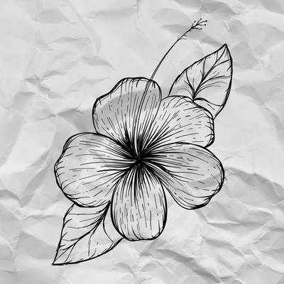 Buy Online Hibiscus Petal Powder in India - Purenso Select