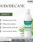 Isododecane - Active ingredients