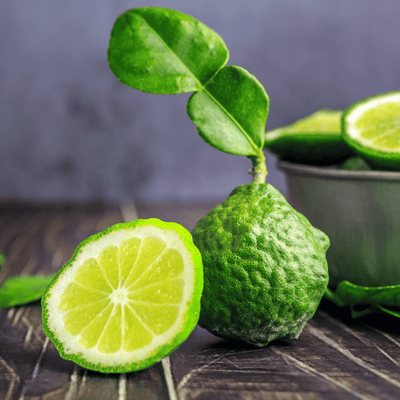 Purenso Fragrance Perfume Oil of Bergamot