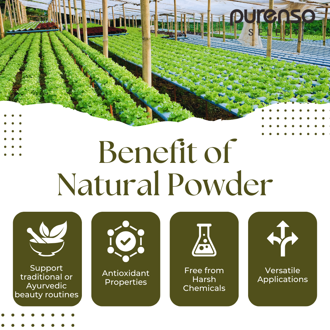 Harda Powder Buy online Harad or Harda (Haritaki) Powder - Purenso Select