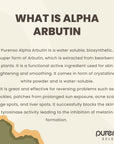 Alpha Arbutin Powder - Active ingredients