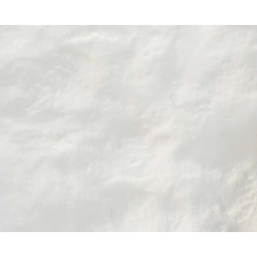 Arrowroot Powder/ Starch - Purenso Select