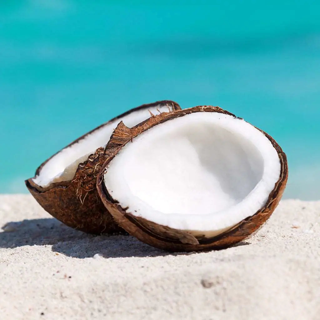 Caribbean Coconut Fragrance Oil - PurensoSelect