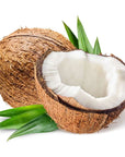 Coconut (Khopra) Fragrance Oil - PurensoSelect