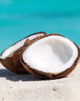 Coconut Natural Flavor Oil - PurensoSelect