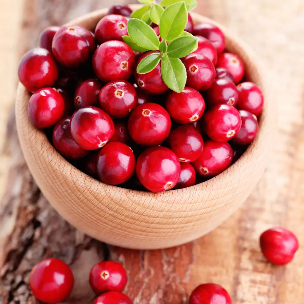 Cranberry Fragrance Oil - PurensoSelect