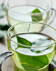 Green Tea Fragrance Oil - PurensoSelect