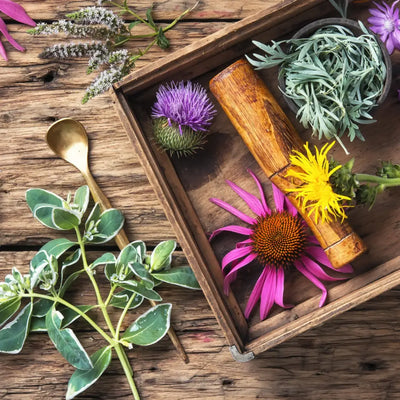 Buy Online Herbal Essence Fragrance Oil in India - Purenso Select