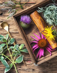 Herbal Essence Fragrance Oil - PurensoSelect