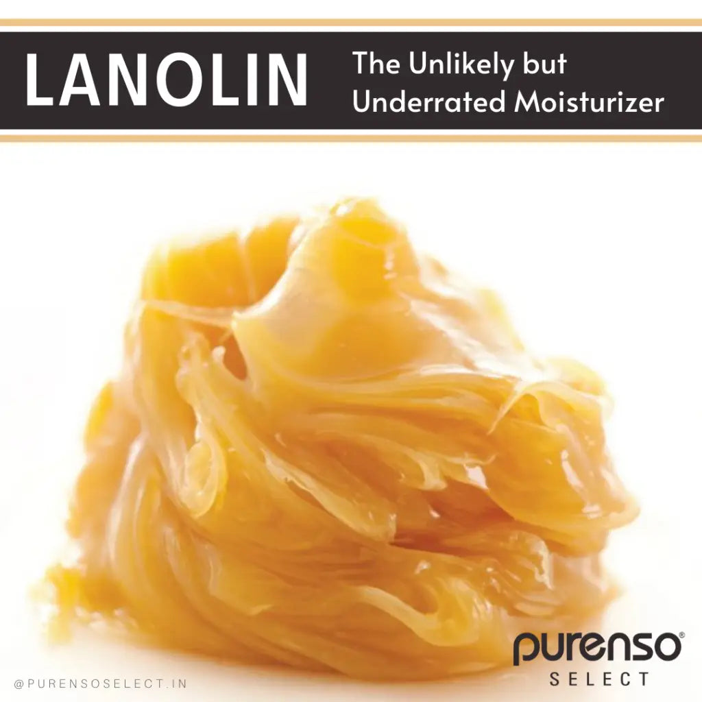 Lanolin Wax - PurensoSelect